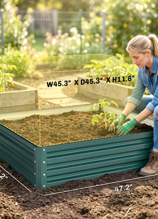 Galvanized Raised Garden Bed, 4' x 4' x 1' Metal Planter Box, for Growing Vegetables, Flowers, Herbs, Succulents, Green