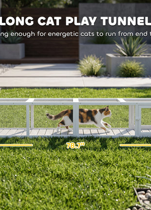 Wooden Cat Run with Weather Protection, Connecting Inside and Outside, 79"L x 15"W x 15"H, White