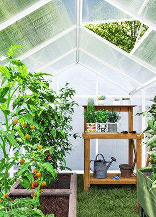 10' L x 6' W Walk-In Polycarbonate Greenhouse with Roof Vent for Ventilation & Rain Gutter for Winter