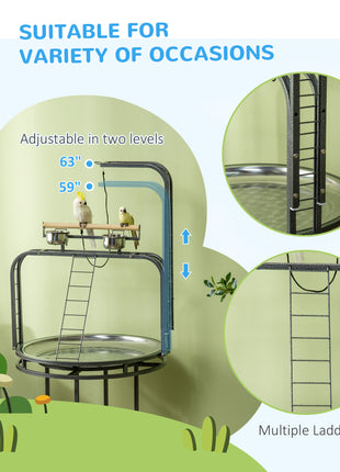 Parrot Stand Large Bird Perch Stand with Toy Hook & 3 Ladders, Parrot Perch, Bird Wooden Stand, Gray