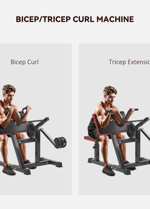 2-In-1 Bicep Preacher Curl Bench Bicep Curl Machine with Adjustable Seat and Elbow Cushion, for Home Gym Workout