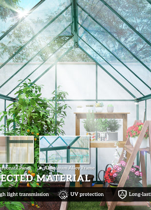 Polycarbonate Greenhouse with Swing Door and Two Adjustable Roof Vents, Aluminum Walk-in Greenhouse, 11x6 ft, Dark Green