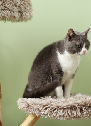 35 Inch Modern Cat Tree for Indoor Adult Cats with Wooden Scratching Posts, Cat Bed & Rope Cat Toy, Brown