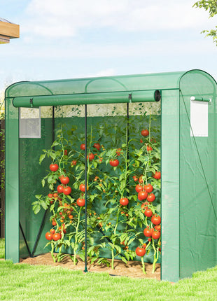 Mini Greenhouse, Portable Greenhouse with Roll-Up Door and 2 Mesh Windows, PE Cover, 78.7" x 29.5" x 74", Green