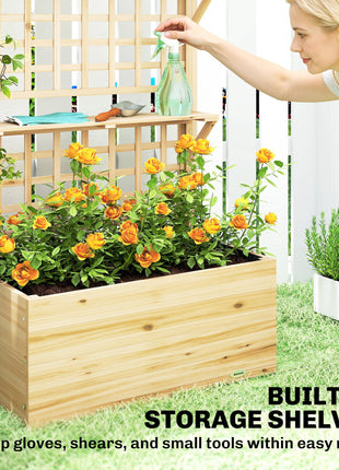 Wooden Raised Garden Bed with Trellis and Roof, Elevated Planter Box with 2 Shelves, Drainage Hole and Liner, Natural