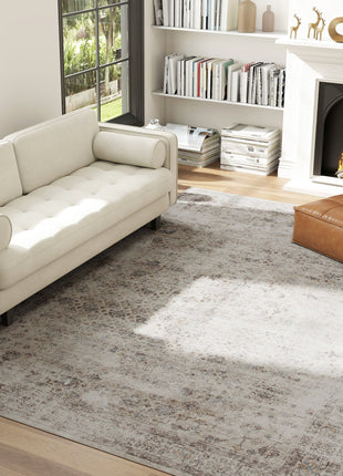 Machine Washable Area Rug 8x10, Non-Slip Traditional Floor Carpet for Living Room, Bedroom, Light Mixed-Brown