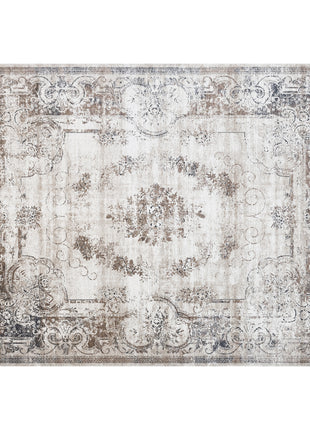6x9 Boho Area Rug, Machine Washable Carpet for Living Room, Bedroom, Dining Room, Kitchen, Home Office, Brown