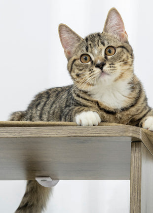 65" Corner Modern Cat Tree Tall for Climbing, Large Multilevel Cat Tower with Scratching Posts, Small-Fit Kitten Tower with Sisal, Cream White