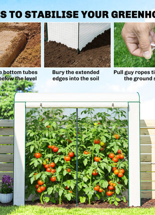 Mini Greenhouse, Portable Greenhouse with Roll-Up Door and 2 Mesh Windows, PE Cover, 78.7" x 29.5" x 74", White