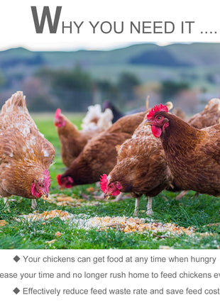 25 lbs Capacity Automatic Chicken Poultry Feeder with a Galvanized Steel and Aluminium Build, Weatherproof Design