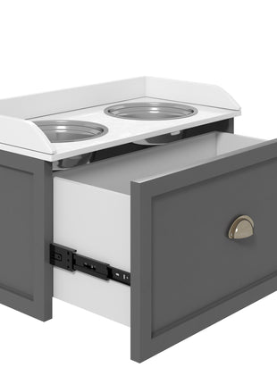 Pet Feeding Station Pet Dish Bowl Set with Storage, 2 Elevated Dog Bowls for Large Sized Dogs, Gray