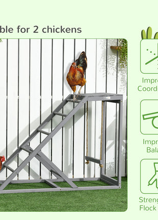 Chicken Activity Play for Healthy & Happy Animals, Swing Set with Chicken Perches & Hen Ladder, Chicken Coop Toy, Gray