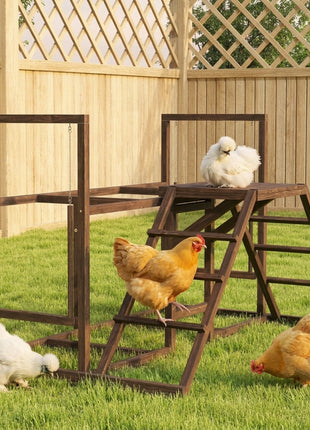 Chicken Activity Play Set with Multiple Chicken Perches, Swing, Ladder, Platform for 3-4 Chickens, Coffee