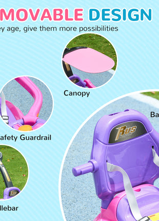 3 in 1 Push Car Sliding Car with Removable Handle, Music, Horn, Canopy, Safety Guardrail, Pink