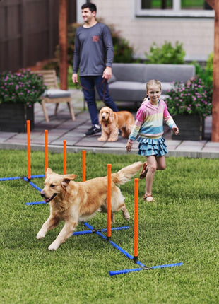 Dog Agility Training Equipment Adjustable Poles for Dog Agility Course with Carry Bag