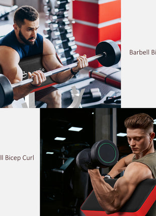 265 LBS Preacher Curl Bench for Strength Training, Adjustable Seated Arm Isolated Barbell Dumbbell Bicep Station, White