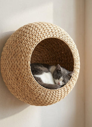 Wall Mounted Cat Condo with Washable Cushion, Natural Wood