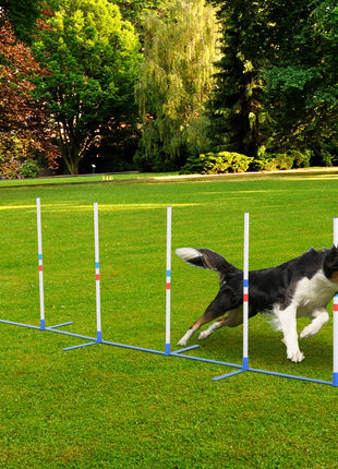 Dog Agility Equipment Dog Weave Pole Set Agility Starter Kit Pet Outdoor Exercise Training Set