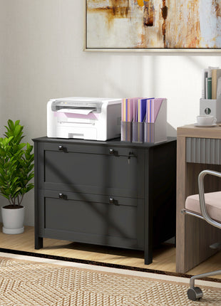 Lateral File Cabinet, 2 Drawer Filing Cabinet with Adjustable Hanging Bar for Letter, A4 and Legal Size, Black