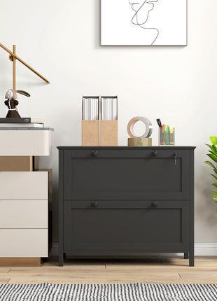 Lateral File Cabinet, 2 Drawer Filing Cabinet with Adjustable Hanging Bar for Letter, A4 and Legal Size, Black