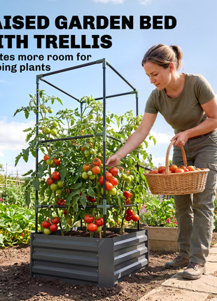 Galvanized Planter Box, 24" x 24" x 55" Raised Garden Bed with Tomato Cage for Climbing Vines, Dark Gray