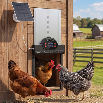 2K HD AI Camera Automatic Chicken Coop Door with APP Remote Control, WiFi Solar Powered with 5200 mAh Large Battery