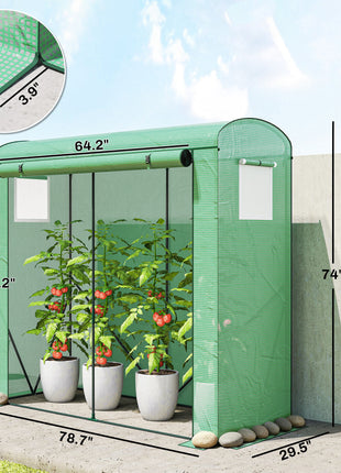 Mini Greenhouse, Portable Greenhouse with Roll-Up Door and 2 Mesh Windows, PE Cover, 78.7" x 29.5" x 74", Green