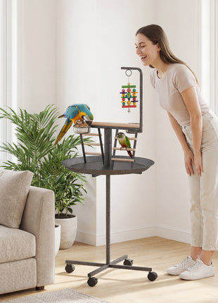Bird Stand with Wheels Parrot Play Stand with Round Tray Stainless Steel Feed Bowls Indoor Outdoor Dark Gray