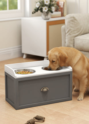 Pet Feeding Station Pet Dish Bowl Set with Storage, 2 Elevated Dog Bowls for Large Sized Dogs, Gray