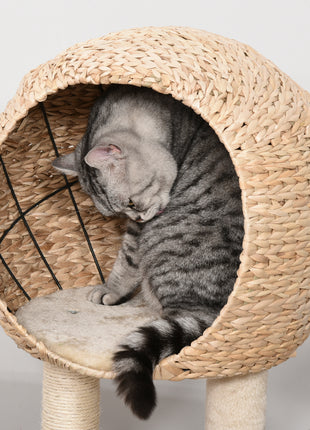 Cat Tree with Sisal Scratching Post Condo and Hanging Rope 39" H, Beige