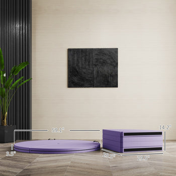 Foldable Crash Mat, Pole Padding with Carrying Handles and EPE Foam for Dance Training and Exercise, Purple