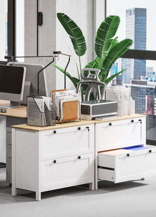 Lateral File Cabinet, 2 Drawer Filing Cabinet with Adjustable Hanging Bar for Letter, A4 and Legal Size, White