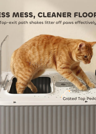 Cat Litter Box with Lid, Enclosed Litter Box for Medium Cats, Front-Entry and Top-Exit, Scoop, Deodorizer Bag, White