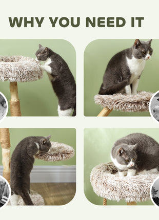 35 Inch Modern Cat Tree for Indoor Adult Cats with Wooden Scratching Posts, Cat Bed & Rope Cat Toy, Brown