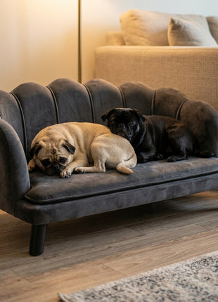 Pearl Design Pet Sofa for Medium and Large Sized Dogs, Pet Bed with Cushion and Solid Wood Legs, Charcoal Gray