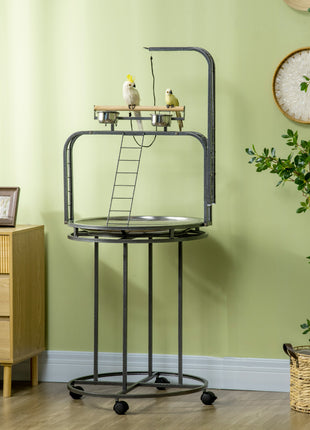 Parrot Stand Large Bird Perch Stand with Toy Hook & 3 Ladders, Parrot Perch, Bird Wooden Stand, Gray