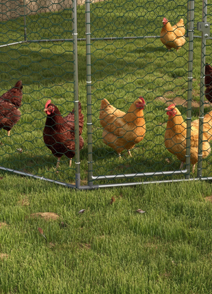 17.1 ft x 15.7 ft Chicken Run for 19-25 Chickens with Cover