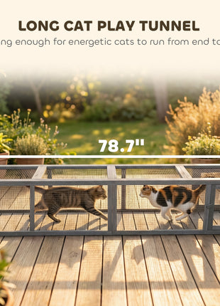 Wooden Cat Run with Weather Protection, Connecting Inside and Outside, 79"L x 15"W x 15"H, Dark Gray