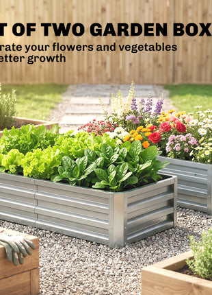Galvanized Raised Garden Bed, 4' x 2' x 1' Metal Planter Box, for Growing Vegetables, Flowers, Herbs, Succulents, Silver