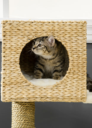 Cattail Weave Cat Tree for Indoor Cats Kitty Tower with Rattan Cat Condo, Wicker Bed, Ladder, Washable Cushions, 22.5" x 14.5" x 39.5", Natural