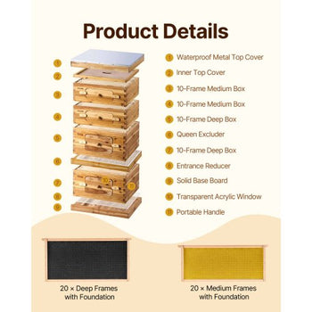 Bee Hive 40 Frame Bee Hives Starter Kit, Beeswax Coated Fir Wood, 2 Deep + 2 Medium Bee Boxes Langstroth Beehive Kit, Transparent Acrylic Windows with Foundations for Beginners Pro Beekeepers