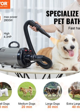 Dog Dryer, 2000W/2.7HP Dog Blow Dryer, Pet Grooming Dryer with Adjustable Speed and Temperature Control, Pet Hair Dryer with 4 Nozzles and Extendable Hose, Grey and Black