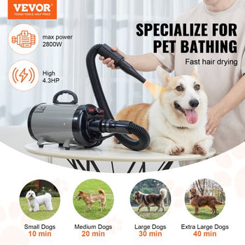 Dog Dryer, 2000W/2.7HP Dog Blow Dryer, Pet Grooming Dryer with Adjustable Speed and Temperature Control, Pet Hair Dryer with 4 Nozzles and Extendable Hose, Grey and Black