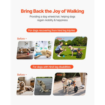 Dog Wheelchair for Back Legs, Lightweight 2 Wheels Pet Wheelchair, Height, Width & Length Adjustable, Dog Cart with Shock-Absorbing Wheels, for Injured, Disabled Dogs 35-48 lbs, Medium
