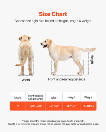 Dog Wheelchair for Back Legs, Lightweight 2 Wheels Pet Wheelchair, Height, Width & Length Adjustable, Dog Cart with Shock-Absorbing Wheels, for Injured, Disabled Dogs 35-48 lbs, Medium