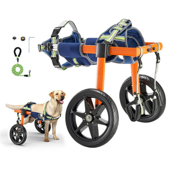 Dog Wheelchair for Back Legs, Lightweight 2 Wheels Pet Wheelchair, Height, Width & Length Adjustable, Dog Cart with Shock-Absorbing Wheels, for Injured, Disabled Dogs 35-48 lbs, Medium