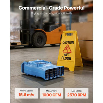 Blower Fan, Low Profile Air Mover Carpet Dryer, 1000 CFM, 2 Speeds, Multi-Angle Airflow, Lightweight Portable for Crawlspaces, Attics, Basements, Bathrooms, Water Damage Restoration, Blue
