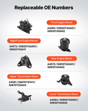 Engine Motor Mount and Transmission Mount Kit Replacement, Set of 5, Compatible with 2008-2012 Honda Accord 2.4L L4 and 2009-2013 Acura TSX 2.4L, Replace OE# A4565 A4572 A4570 A4584 A4561