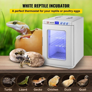 Reptile Incubator, 25L Scientific Lab Incubator, Cooling and Heating 5 °C to 42 °C Automatic Incubator, 12V/110V White Reptile Egg Breeding Hatchery Work for Thermostats Snakes and Turtles