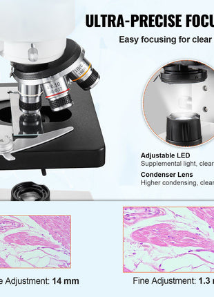 Ultra-precise microscope with LED light, black base, and adjustable knobs for enhanced imaging and clarity.